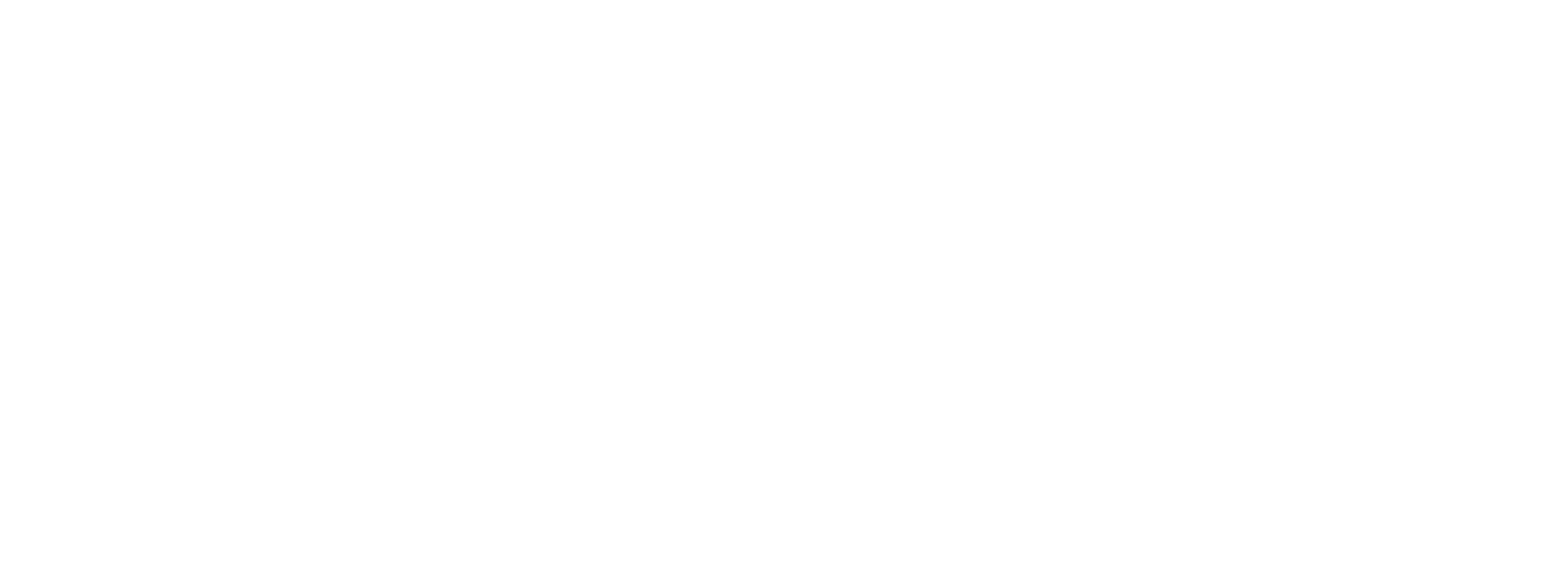 FS Aviation